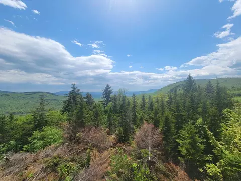 Other - 233 Weld Rd, Phillips, ME 04966 photo 14 of 16