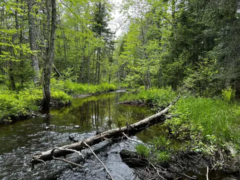 Off North Road, Mount Chase, ME 04765 photo 20