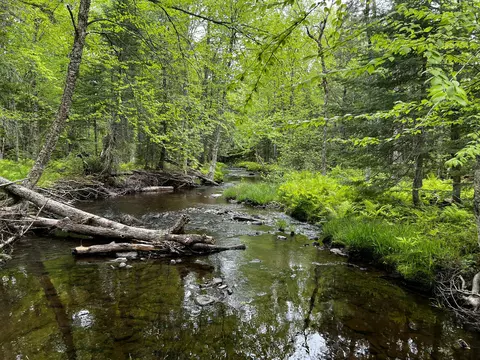 Off North Road, Mount Chase, ME 04765 photo 21
