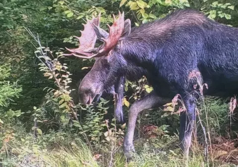 Off North Road, Mount Chase, ME 04765 photo 6