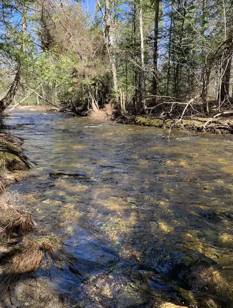 Off North Road, Mount Chase, ME 04765 photo 13