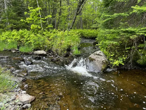 Off North Road, Mount Chase, ME 04765 photo 22