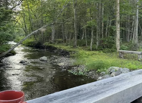Off North Road, Mount Chase, ME 04765 photo 9