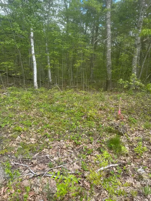 lot7 Unionville Rd, Steuben, ME 04680