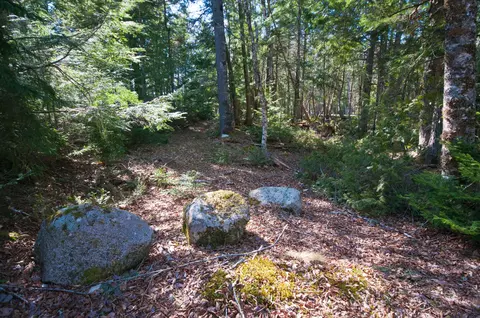 98 Beavers Rd, Sullivan, ME 04664 photo 22