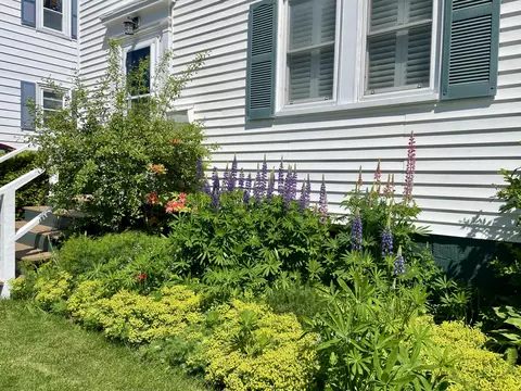 Exterior - 3 Andrews Rd, Bath, ME 04530 photo 11 of 13