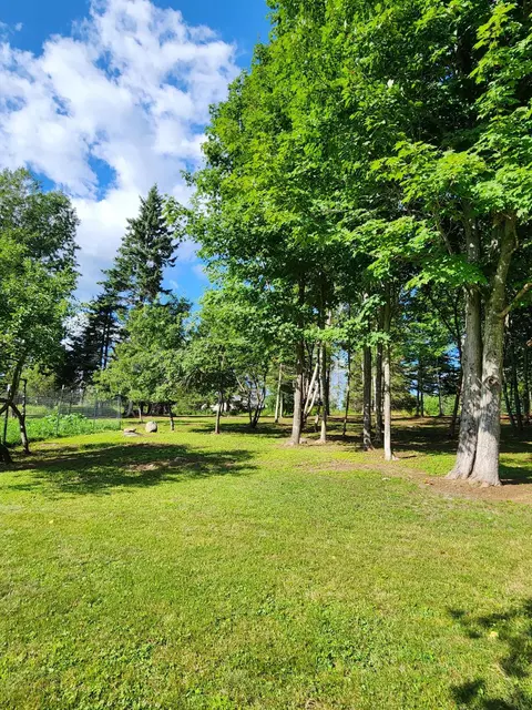 Exterior - 260 Thistle St, Upton, ME 04261 photo 15 of 17