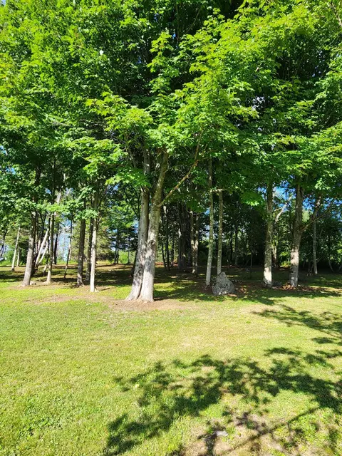 Exterior - 260 Thistle St, Upton, ME 04261 photo 16 of 17