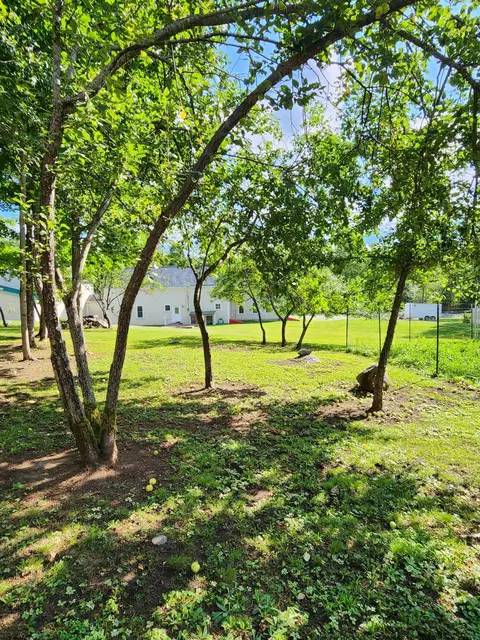 Exterior - 260 Thistle St, Upton, ME 04261 photo 11 of 17