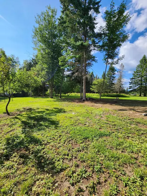 Exterior - 260 Thistle St, Upton, ME 04261 photo 13 of 17