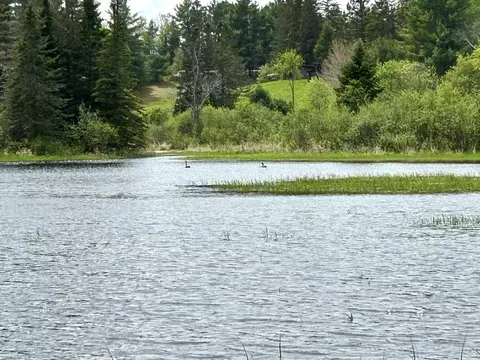 lot3 C Scott Rd, Eustis, ME 04936 photo 15