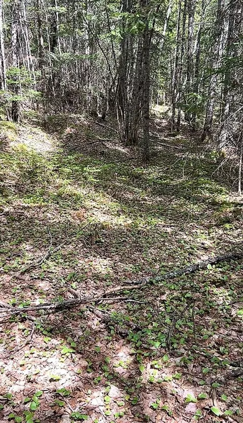 lot3 C Scott Rd, Eustis, ME 04936 photo 12