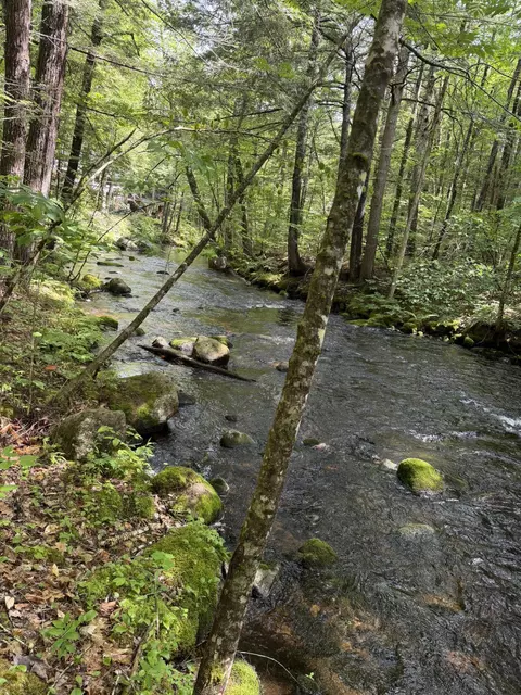 lot44 Rolfe Rd, Harrison, ME 04040
