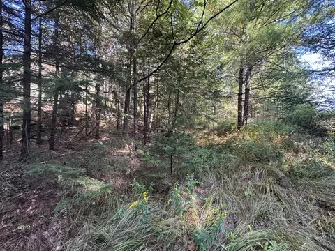 0 Main Rd, Phippsburg, ME 04565 photo 26