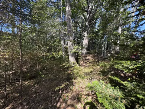 0 Main Rd, Phippsburg, ME 04565 photo 28
