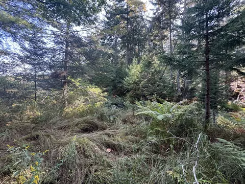 0 Main Rd, Phippsburg, ME 04565 photo 23