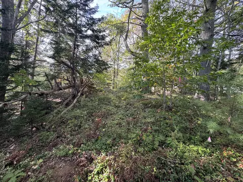 0 Main Rd, Phippsburg, ME 04565 photo 6