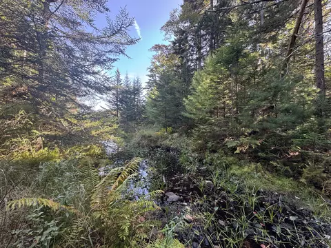 0 Main Rd, Phippsburg, ME 04565 photo 24