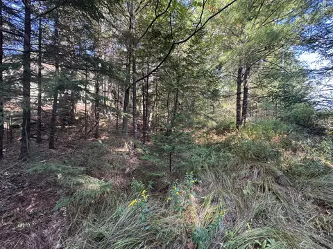 0 Main Rd, Phippsburg, ME 04565 photo 26