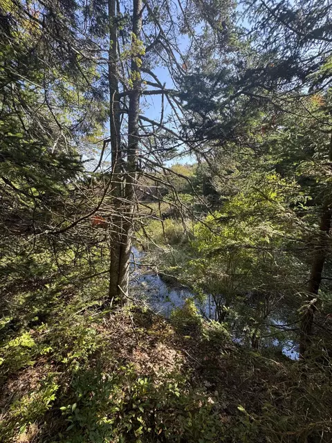 0 Main Rd, Phippsburg, ME 04565 photo 27