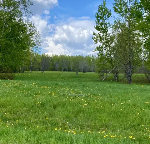 lot8 Clark Rd, Patten, ME 04765