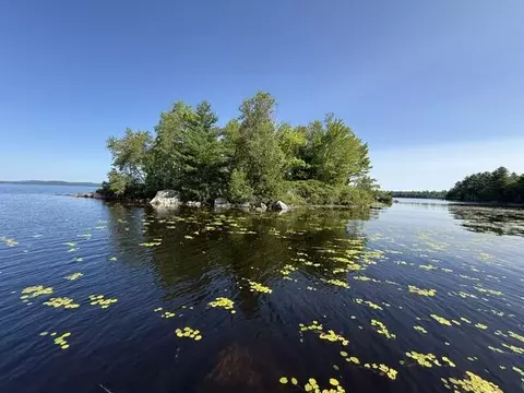 lot018 Pike Is, Meddybemps, ME 04657