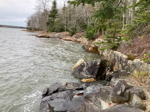 26 Hardwood Point, Harrington, ME 04643