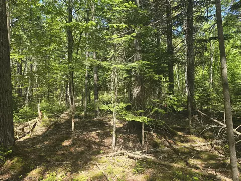 0 Boothbay Rd, Edgecomb, ME 04556 photo 5
