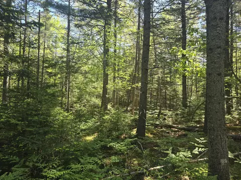 0 Boothbay Rd, Edgecomb, ME 04556 photo 13