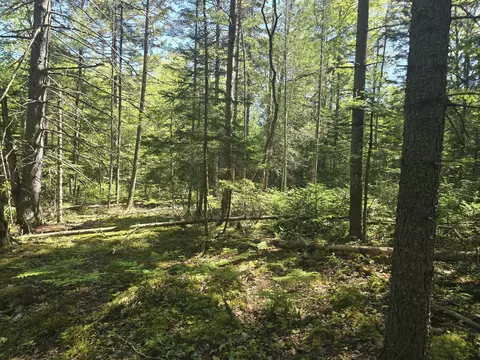0 Boothbay Rd, Edgecomb, ME 04556 photo 6
