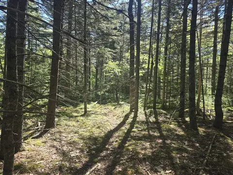 0 Boothbay Rd, Edgecomb, ME 04556 photo 12