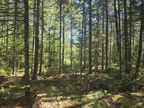0 Boothbay Rd, Edgecomb, ME 04556 photo 10