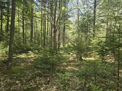 0 Boothbay Rd, Edgecomb, ME 04556 photo 9