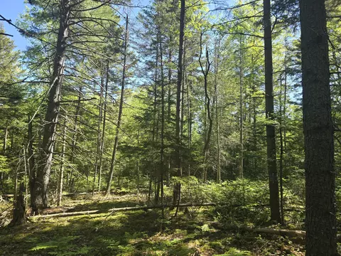 0 Boothbay Rd, Edgecomb, ME 04556 photo 7