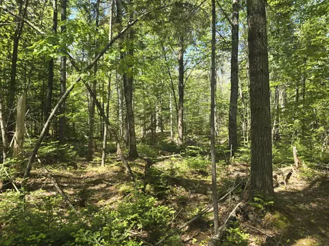 0 Boothbay Rd, Edgecomb, ME 04556 photo 4