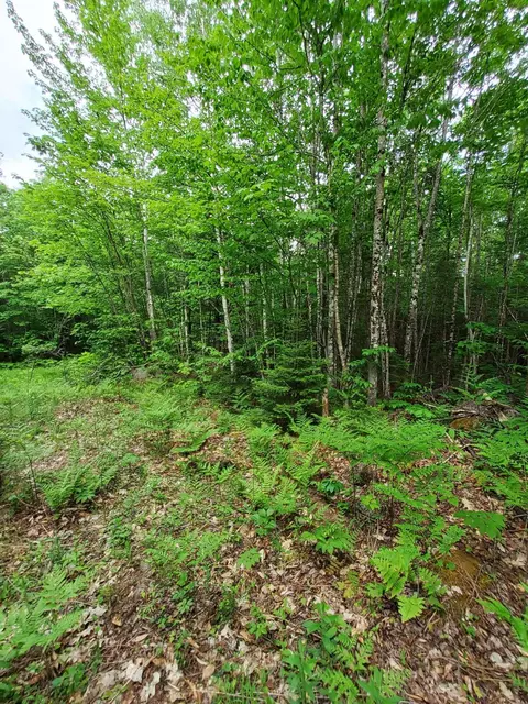 lot5 0, Andover, ME 04216