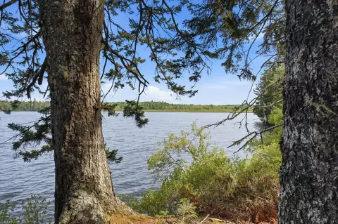 10 Sunrise Way, Whiting, ME 04691
