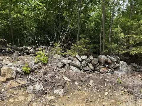lot12 Deering Ridge Rd, Shapleigh, ME 04076