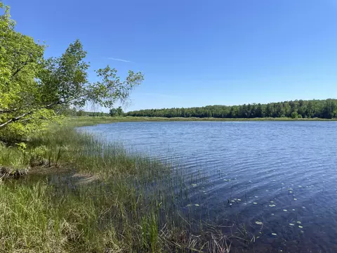 View/Area - 117 Brown Rd, Harmony, ME 04942 photo 3 of 4