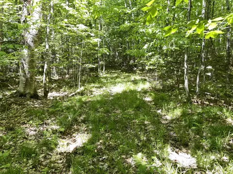 Exterior - 117 Brown Rd, Harmony, ME 04942 photo 5 of 6