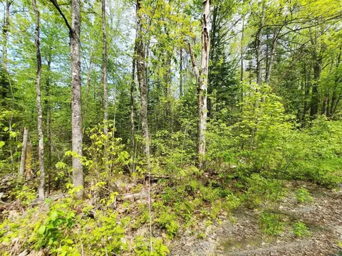 lot3 Maple Rd, Atkinson, ME 04426 photo 18
