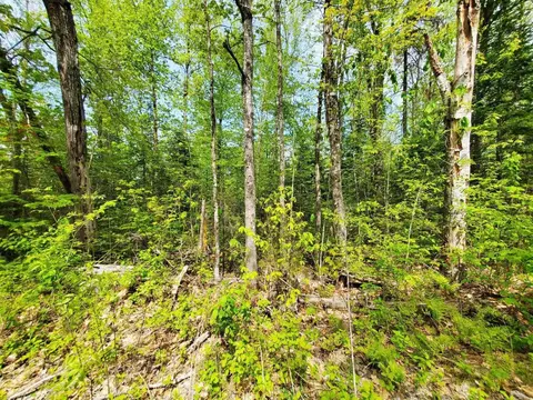 lot3 Maple Rd, Atkinson, ME 04426 photo 14