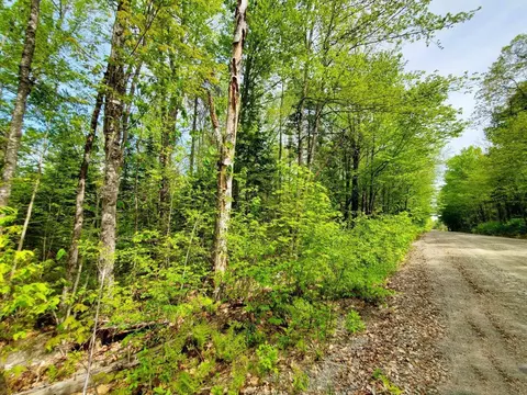 lot3 Maple Rd, Atkinson, ME 04426 photo 16
