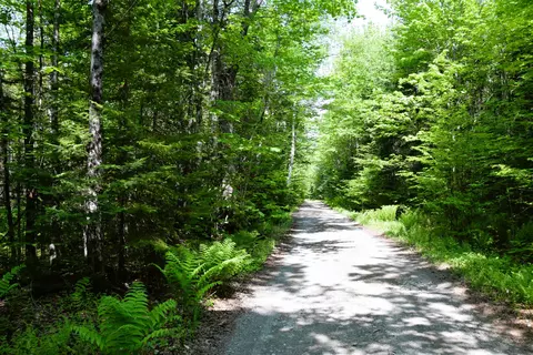 3 Carry Pond Road, Carrying Place Twp, ME 04961