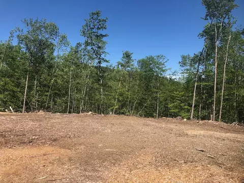 L25 Canton Mountain Road, Jay, ME 04239