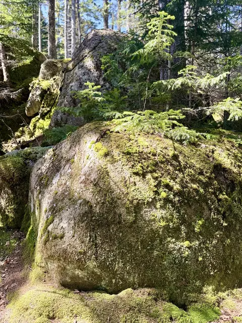 7 Young Rd, Vinalhaven, ME 04863 photo 11
