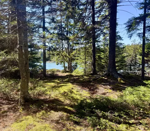 7 Young Rd, Vinalhaven, ME 04863 photo 12