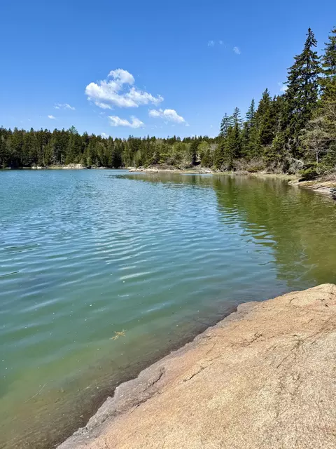7 Young Rd, Vinalhaven, ME 04863 photo 16