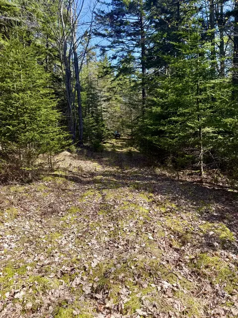 7 Young Rd, Vinalhaven, ME 04863 photo 19