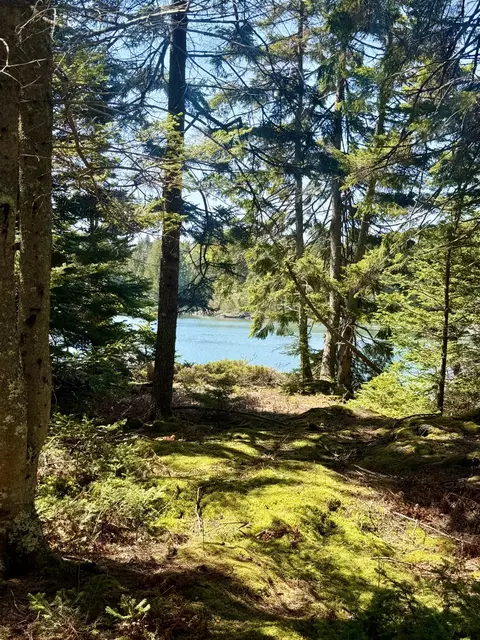 7 Young Rd, Vinalhaven, ME 04863 photo 18